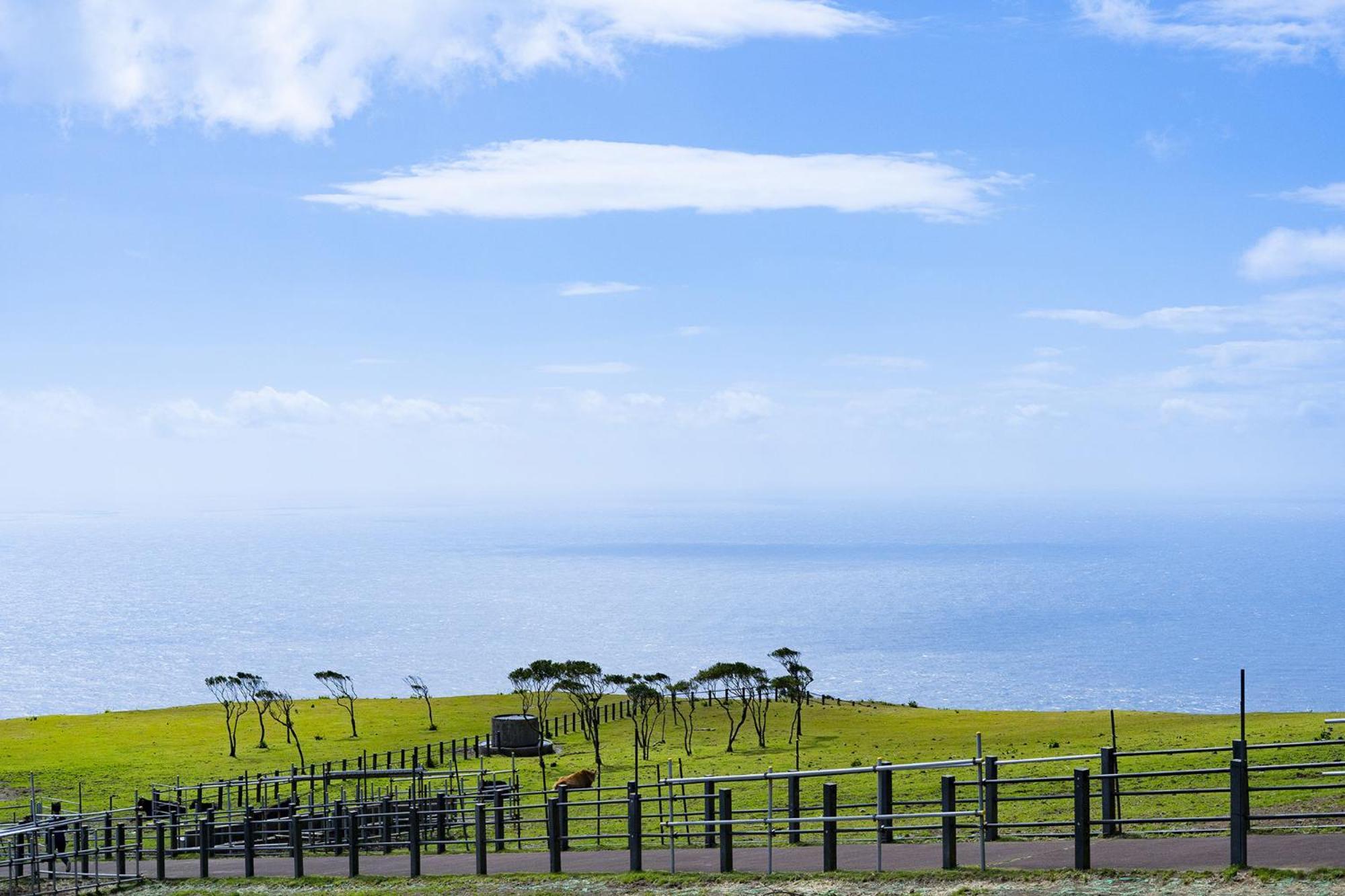 Hachijyo-Island Blue Eight -八丈島ブルーエイト- Villa Mitsune Exteriör bild